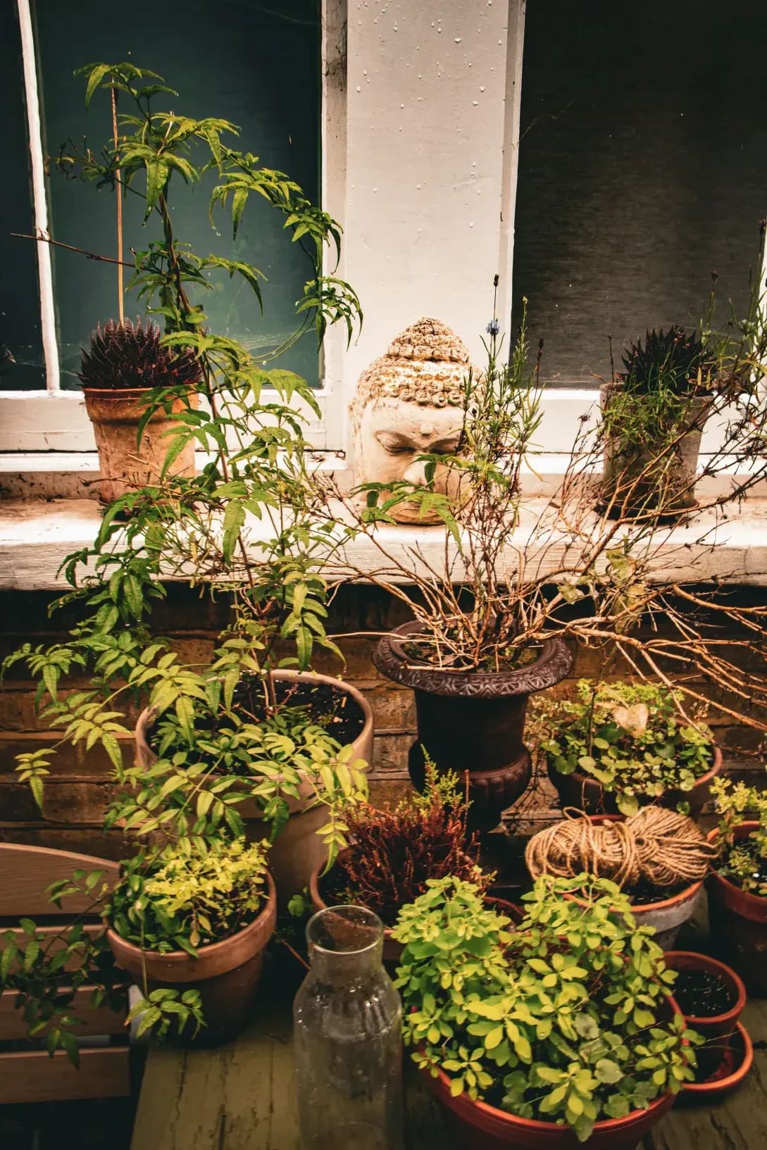 庭園設計・植栽プランニング